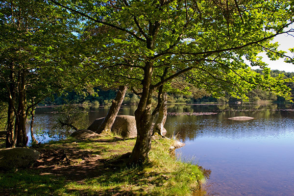 Nature et repos au lac du merle