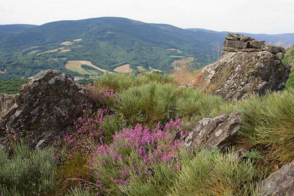 La Montagne Noire