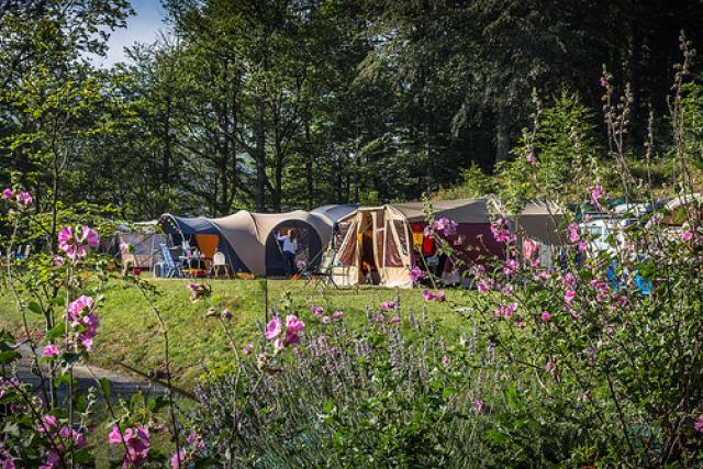 Le Plo  tentes au soleil