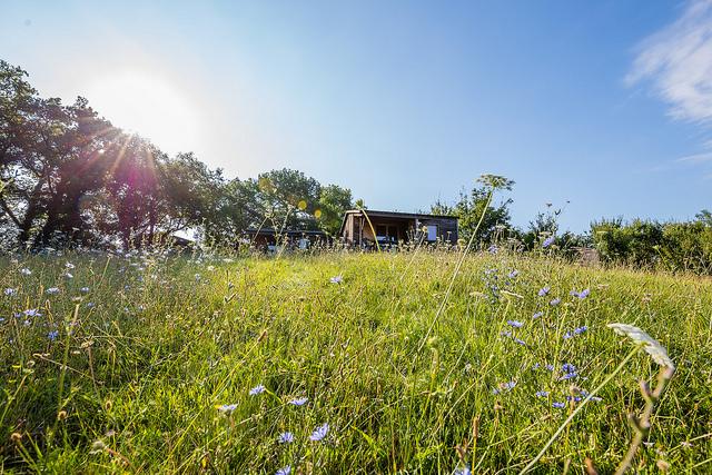 Garissou chalet prairie