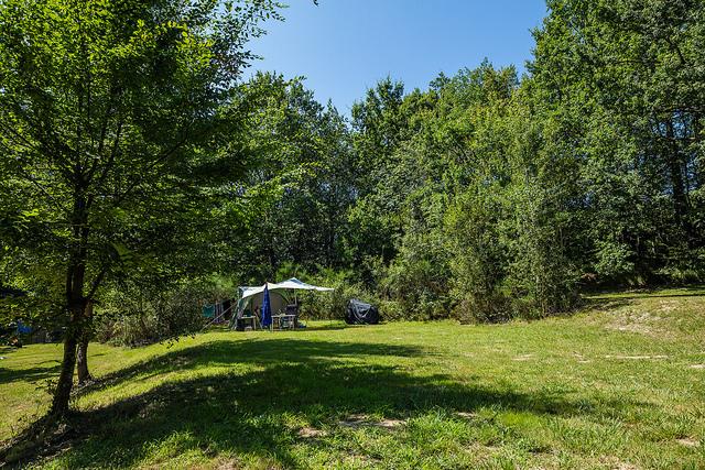 Fiscalou tente isolée