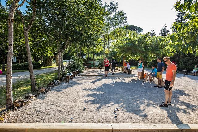 Chêne vert pétanque