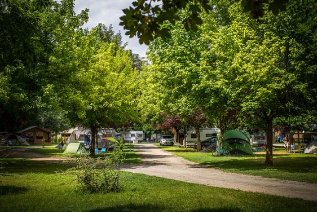 Soleil des Bastides allée camping ombragée