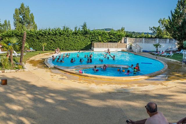 Chêne vert piscine