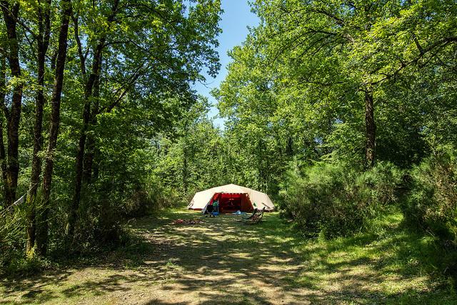 Fiscalou tente en forêt