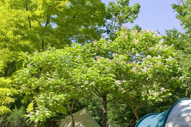 Campings Tarn Sud Ouest  Midi Pyrénées