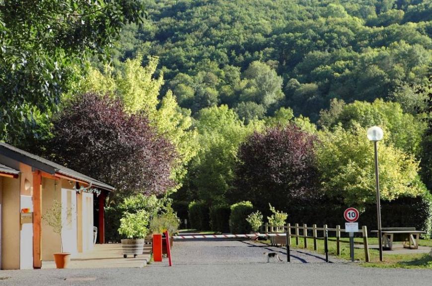 Camping Le Jardin allée arborée