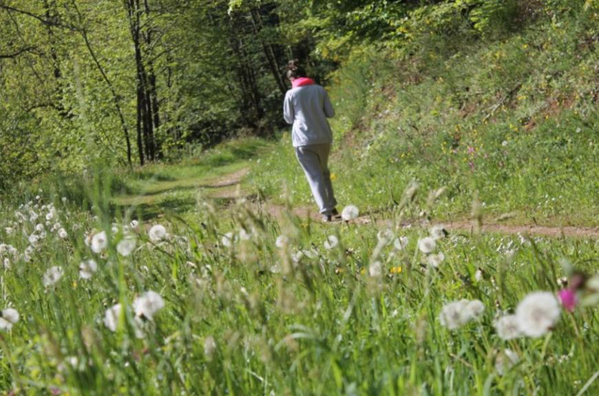 Camping Municipal La Forêt rando