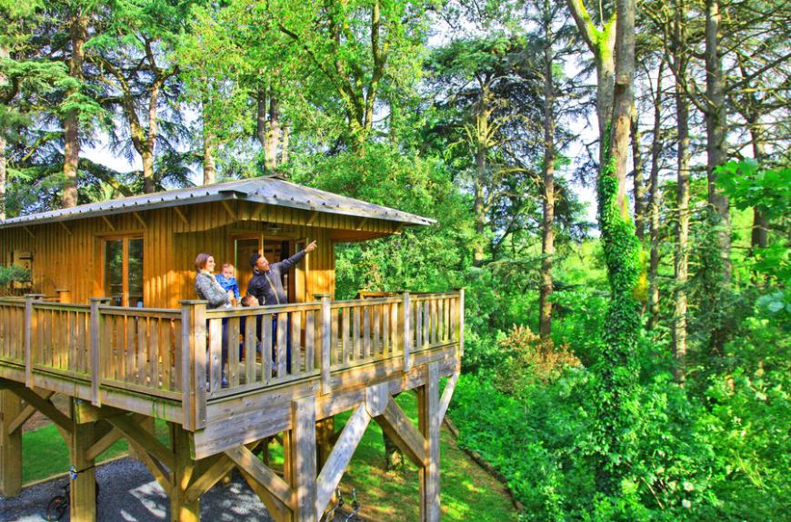 Albirondack Camping Tarn Cabanne perchée