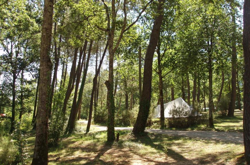 Le Fiscalou Emplacements en forêt