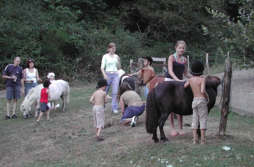 La Bastide d'Albignac ânes & enfants