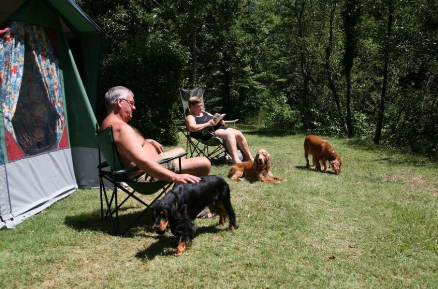 Municipal La Bâtisse caravane et chiens