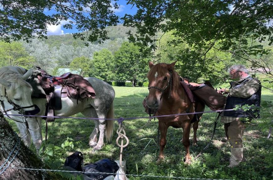 Camping La Prade chevaux