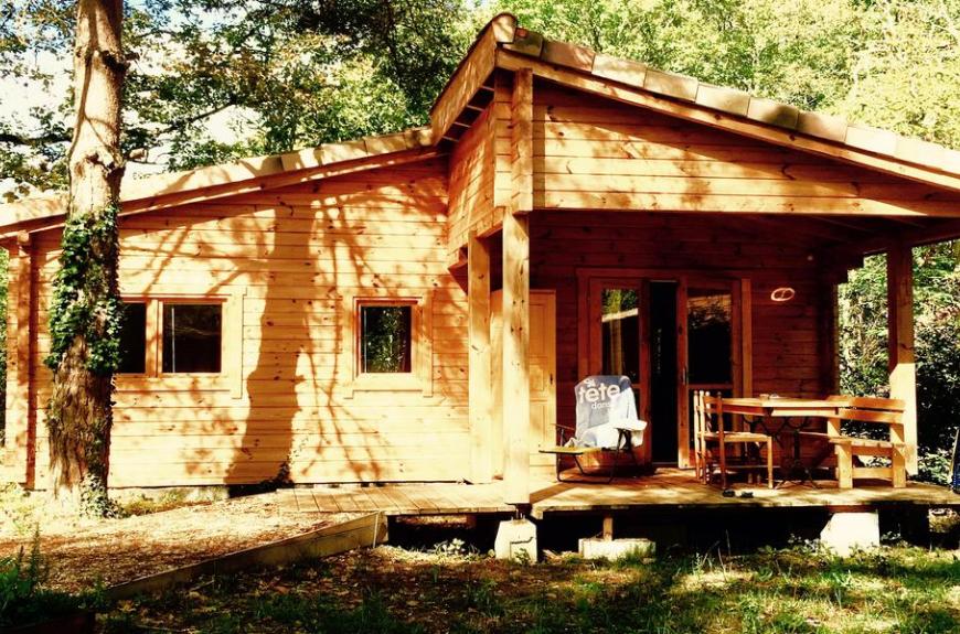 chalet bois en foret