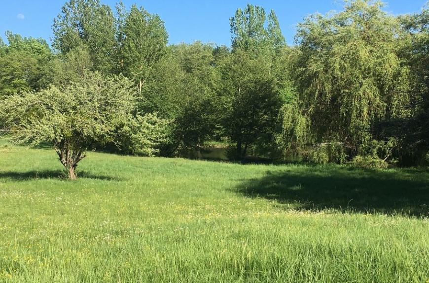 Les Fées du Moulin arbres & prairie