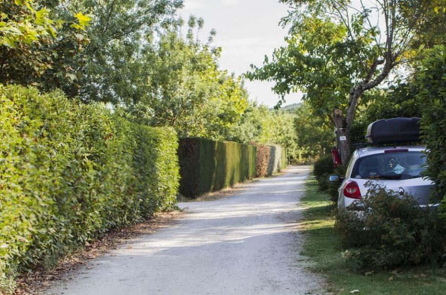 Camping Le Pessac allée tranquille