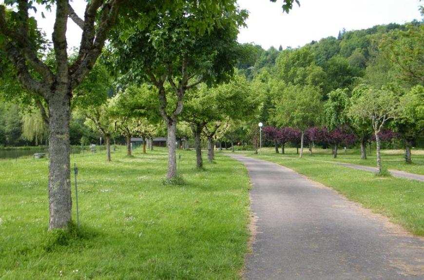 Camping Municipal la Rabaudié allées ombragées