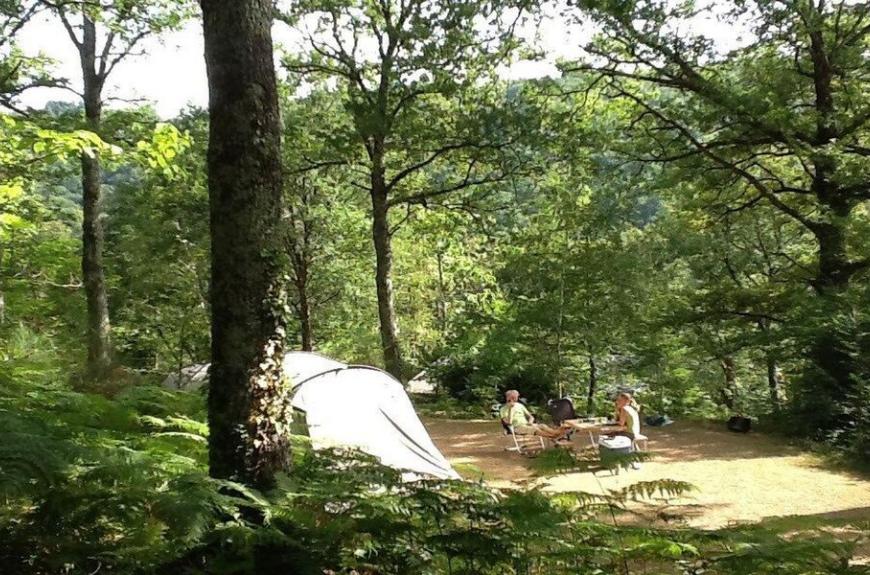 Camping Domaine Les Clots en plein coeur de la forêt