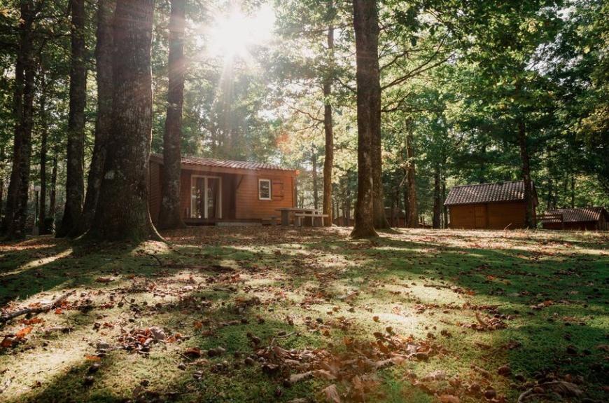 Chalets de la Bessière chalet bois en forêt