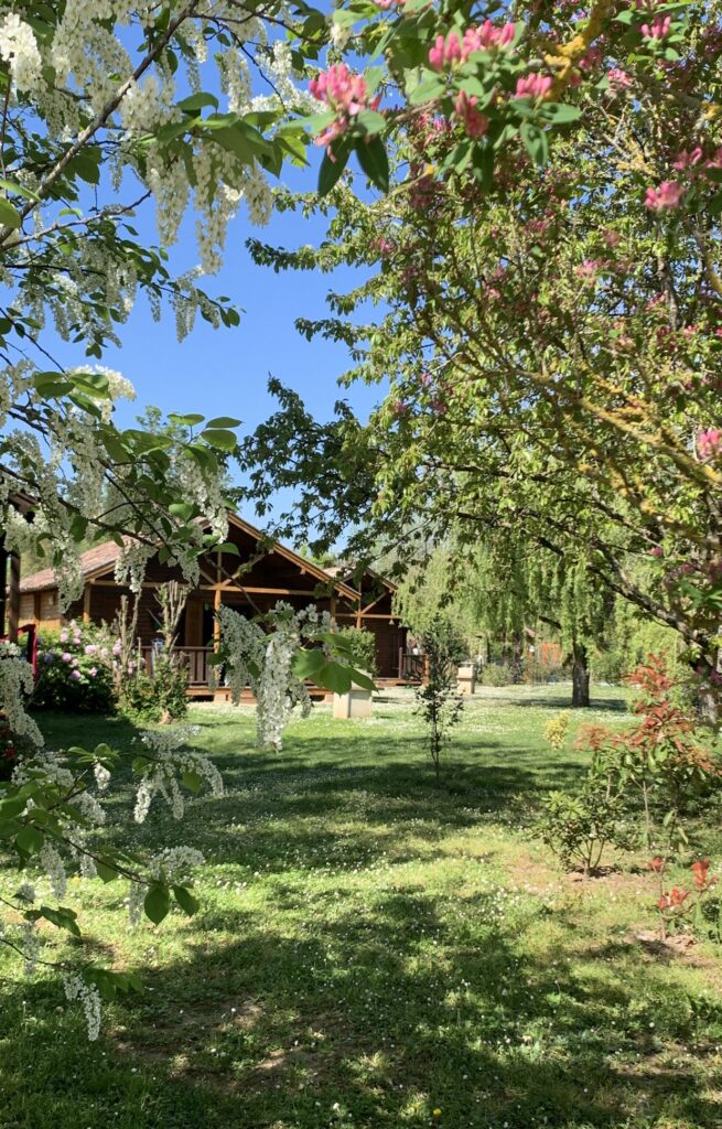 Chalets de Fiolles parc arboré