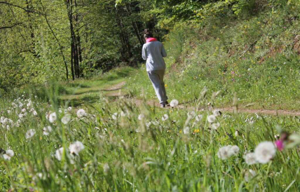 Camping Municipal La Forêt rando
