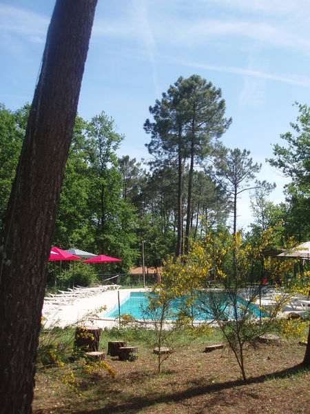 Le Fiscalou Piscine et nature