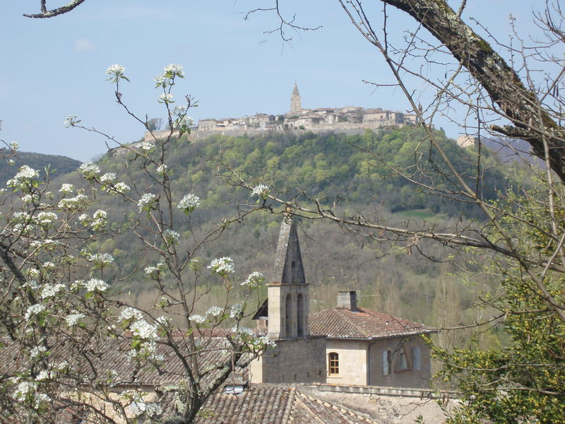 Le Fiscalou Village Puycelsi