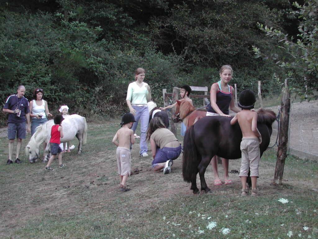La Bastide d'Albignac ânes & enfants