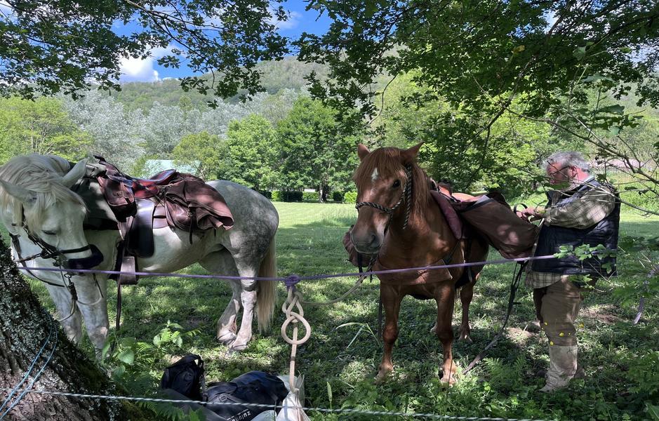 Camping La Prade chevaux