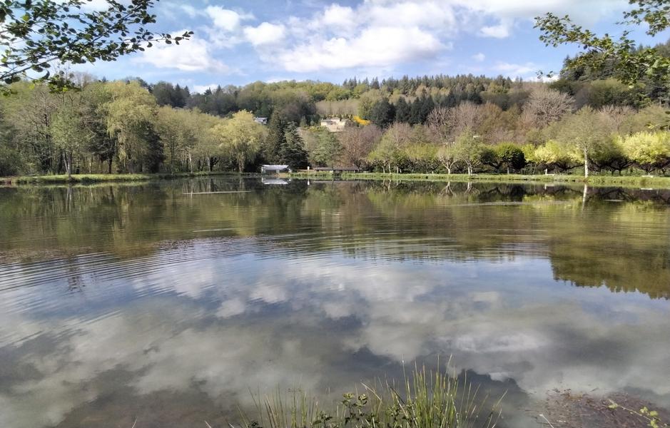 Camping Municipal La Rabaudie_Viane lac en automne