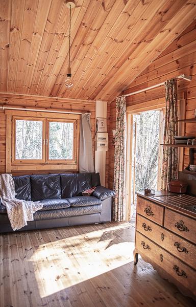 salon intérieur chalet bois