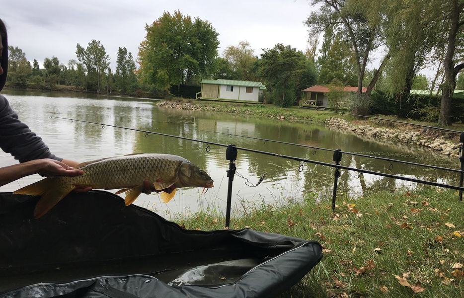 Pêche Camping Plan d'Eau St Charles