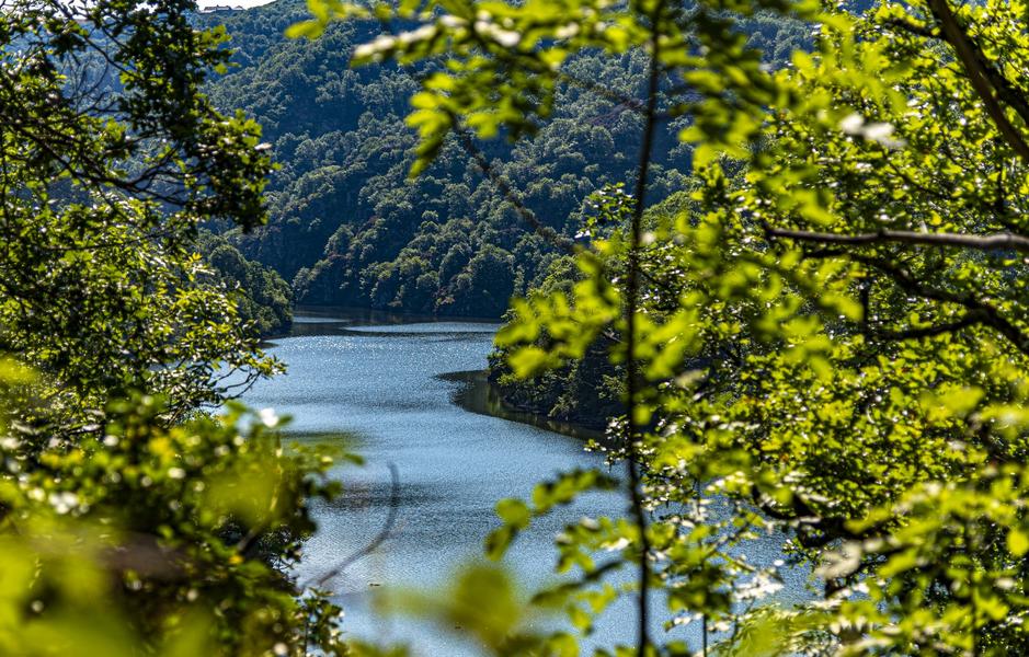 Camping Au Fil du Viaur riviere et foret