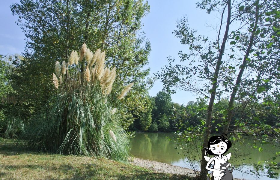 Les Fées du Moulin Lisle Lac