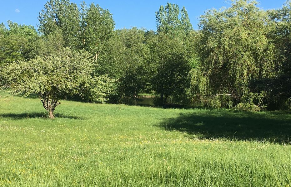 Les Fées du Moulin arbres & prairie