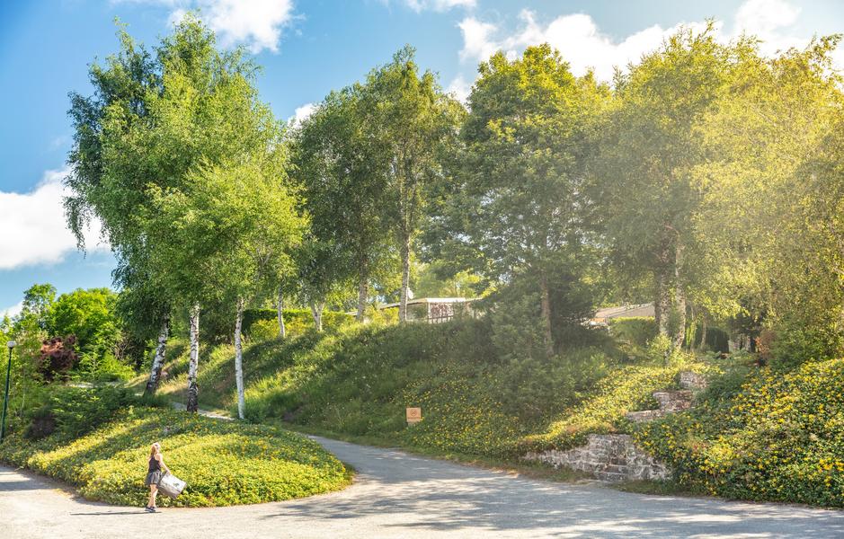 Camping Homair Rieumontagné vue entrée
