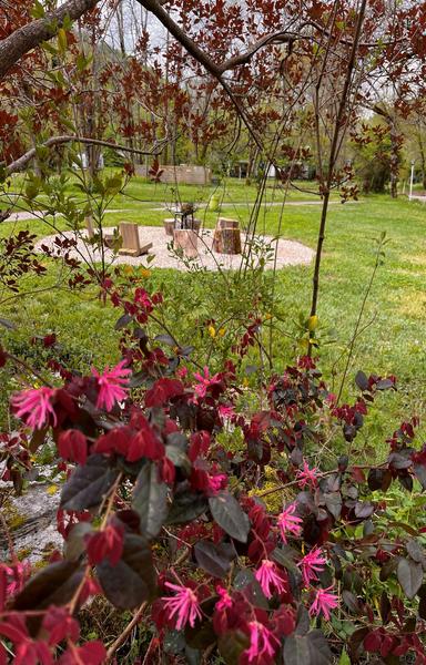 Camping La Prade_Montirat brasero fleuri