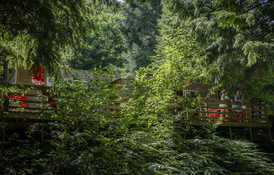 Camping Lestap foret