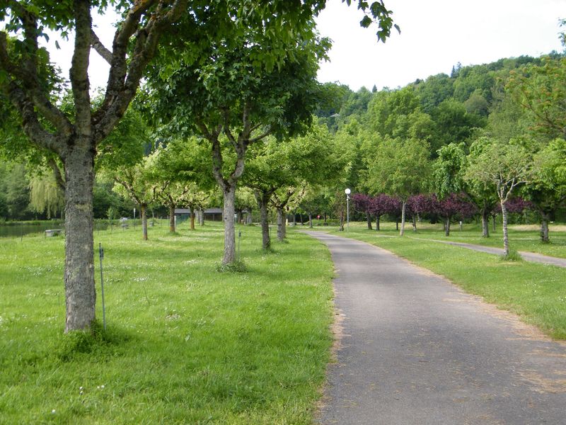 Camping Municipal la Rabaudié allées ombragées