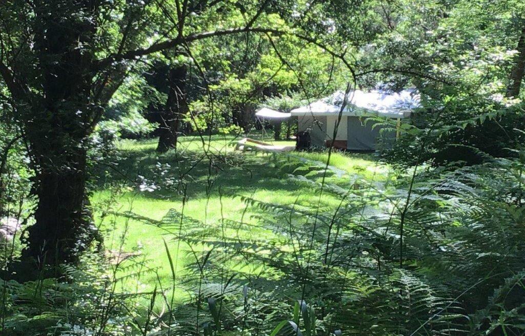Camping Domaine Les Clots emplacement en forêt