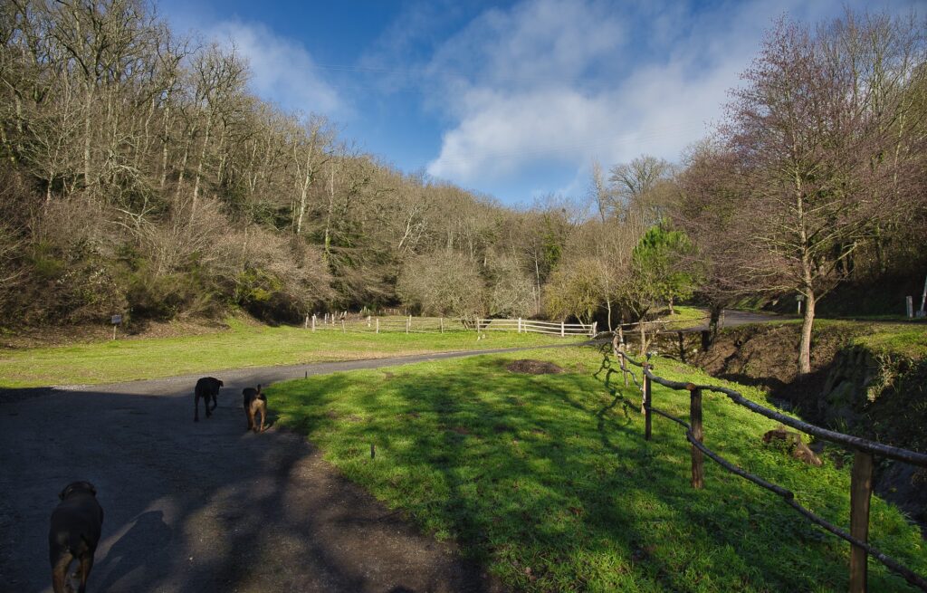 Bastide Albignac animaux bienvenus