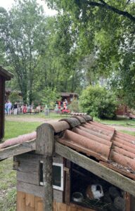 Parc Résidentiel de Loisirs Les Fées du Moulin_Lisle-sur-Tarn
