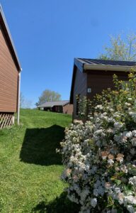 Parc Résidentiel de Loisirs Domaine Vallée du Tarn_Saint-Cirgue chalets fleuris